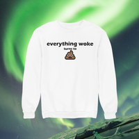 Everything Woke Turns to Shit Sweater Sweatshirts 