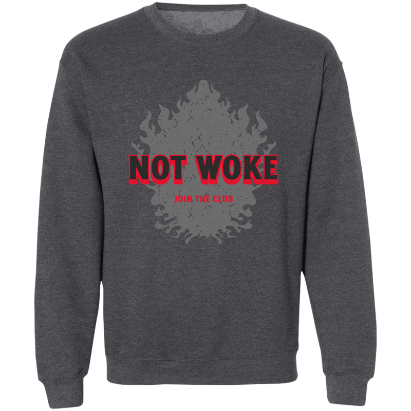 products/not-woke-pullover-sweatshirt-sweatshirts-dark-heather-s-735241.png