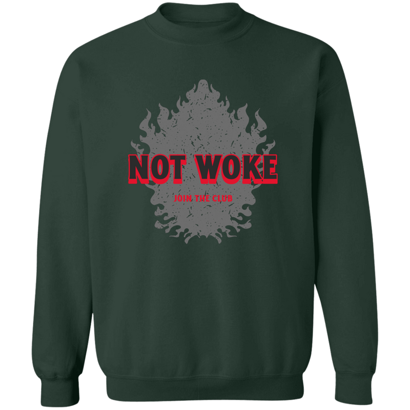 products/not-woke-pullover-sweatshirt-sweatshirts-forest-green-s-815242.png